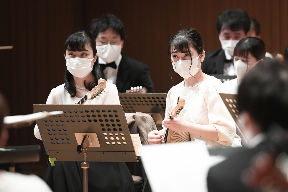 演奏会上級者用17弦一式　メインテナンス済み 演奏会用上質十七弦一式 メインテナンス済み