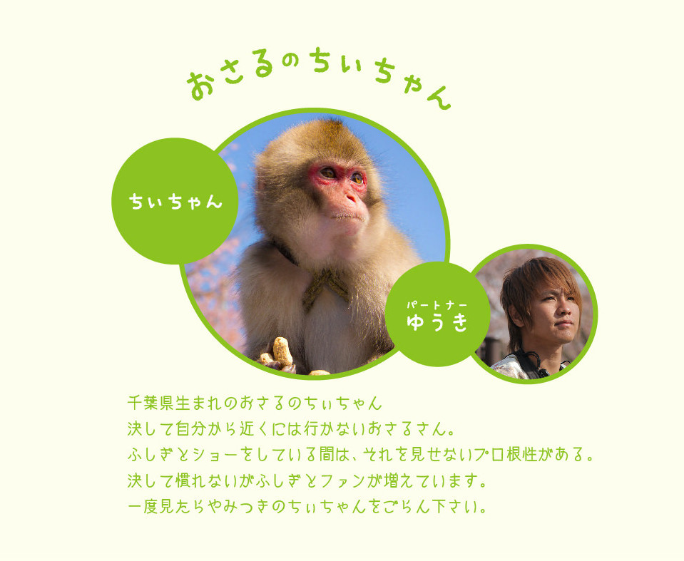 猿芸工房リモート公演]「オンライン猿まわし」【猿芸工房】 | オンライン