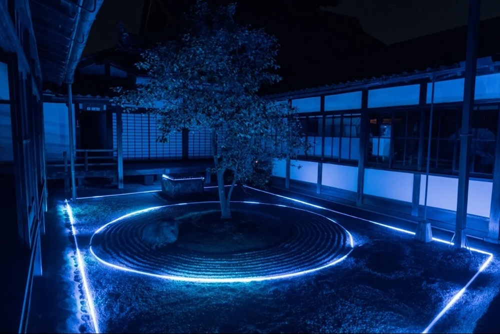 大学生限定・無料招待】京都 建仁寺 夜間プレミアム拝観｜ZEN NIGHT