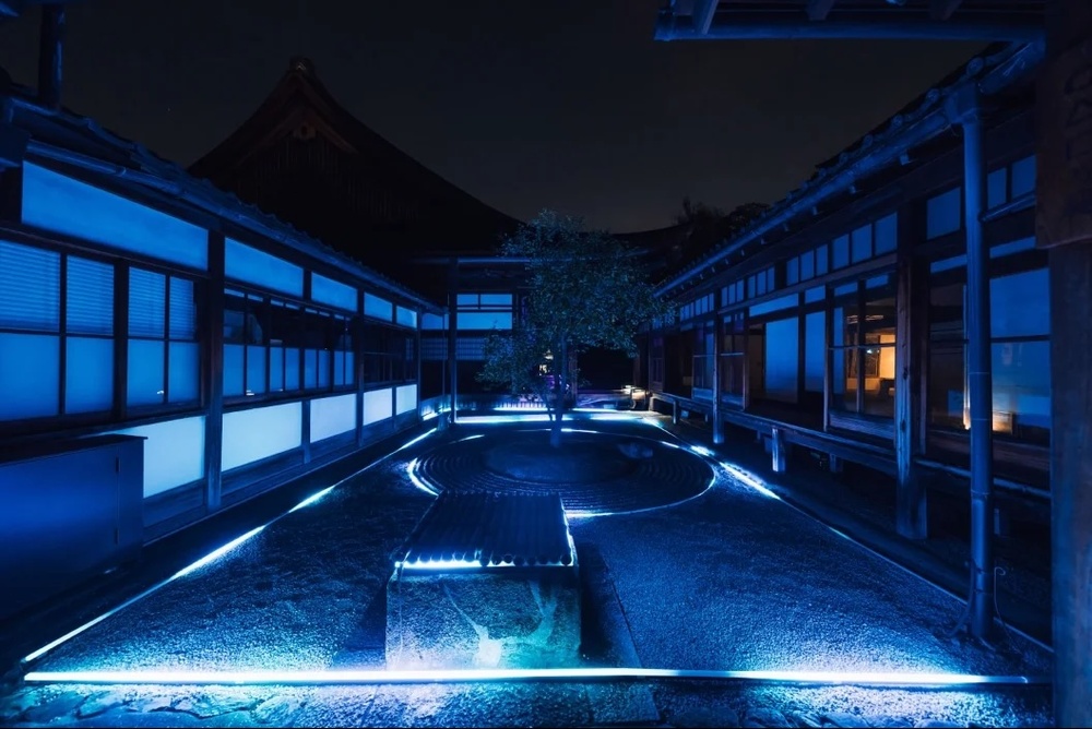 大学生限定・無料招待】京都 建仁寺 夜間プレミアム拝観｜ZEN NIGHT