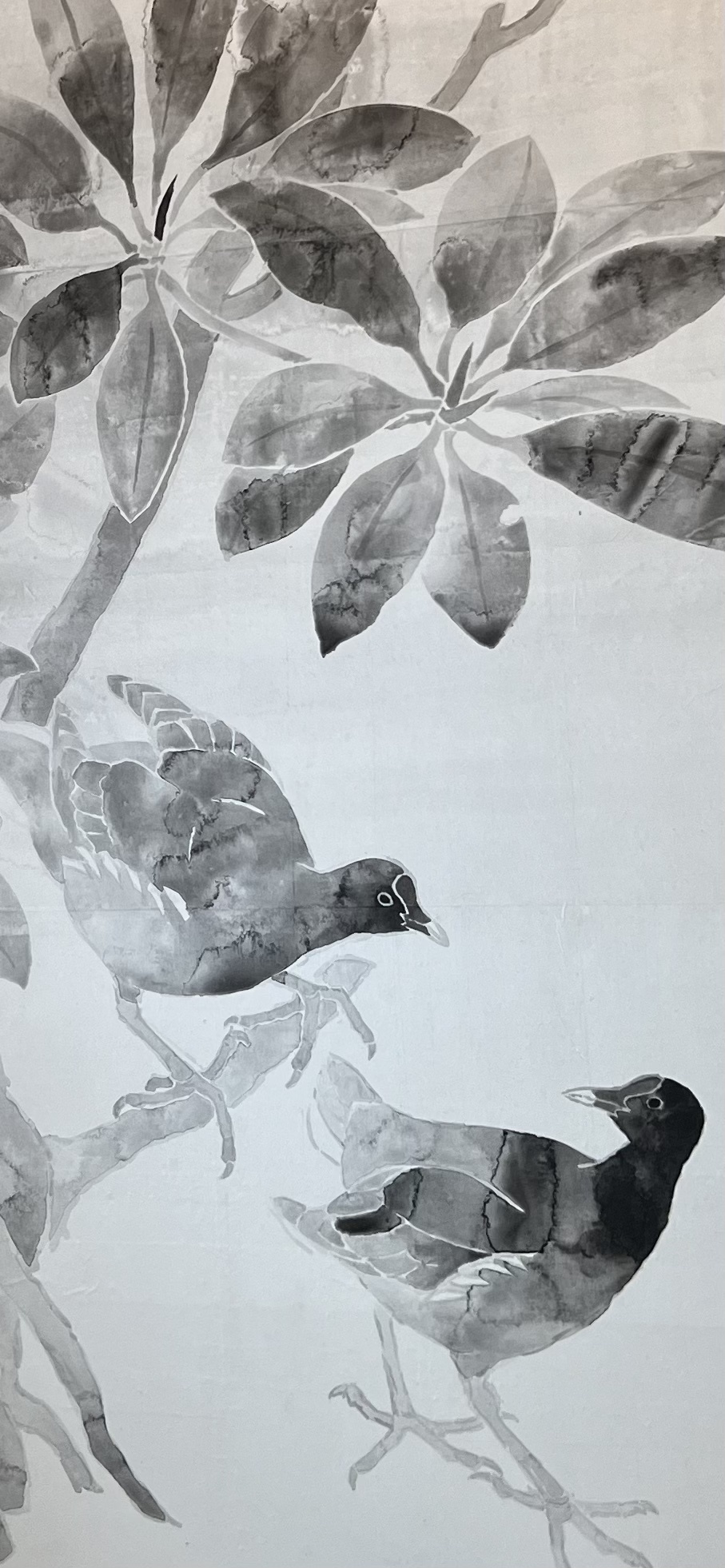 菊田一朗やんばる屏風展 2025 “空 Ku” in Villa Muse Okinawa【Villa
