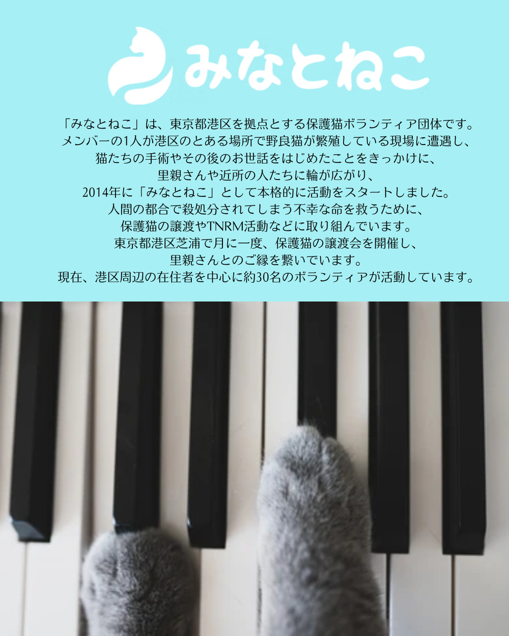 猫のためのチャリティーピアノコンサート【SUZUKA PIANIST】 | ピアノ