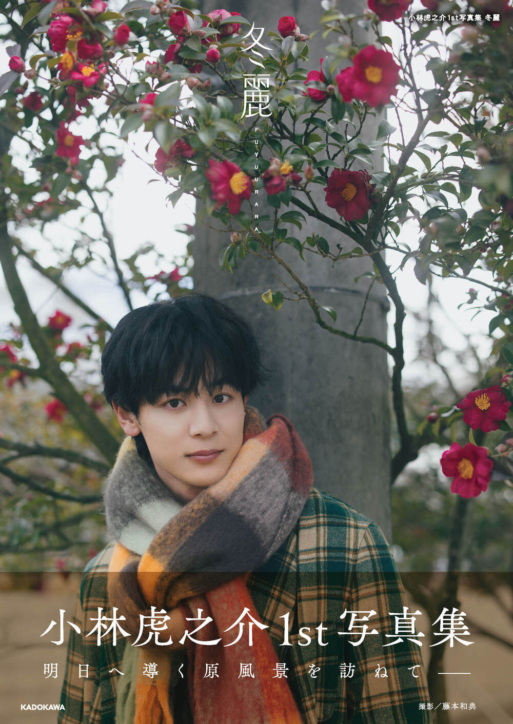 小林虎之介 FANMEETING 2025 グッズ 生写真 シャツ 7種 小林虎之介 FANMEETING 2025 グッズ 生写真 シャツ 7種 小林虎之介