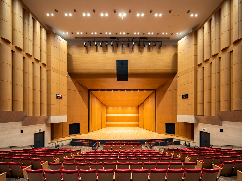 演奏会用上質17弦一式 メインテナンス済み 演奏会用上質十七弦一式 メインテナンス済み