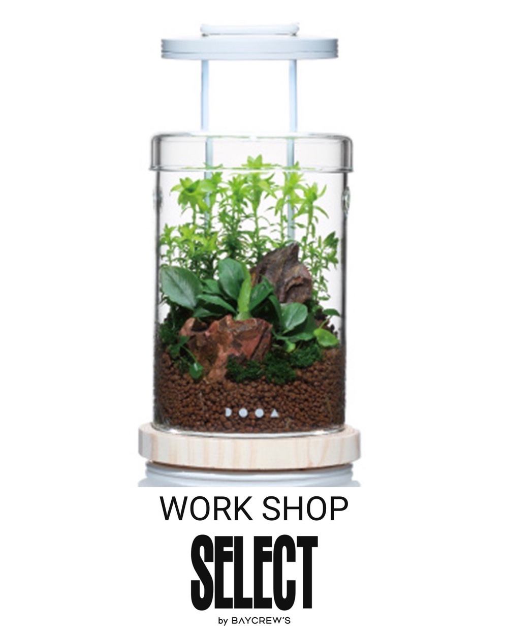 ADA エアースイーパーとグリーンビーズ ADA エアスイーパー グリーン