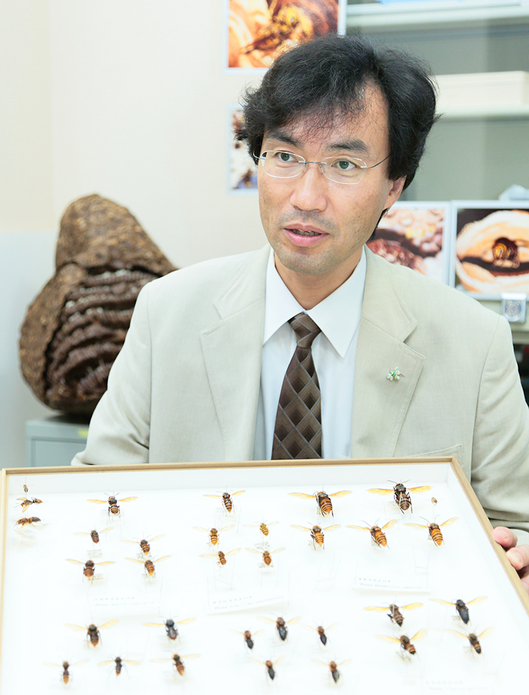 ミツバチサミット2025【ミツバチサミット実行委員会】 | つくば国際会議場