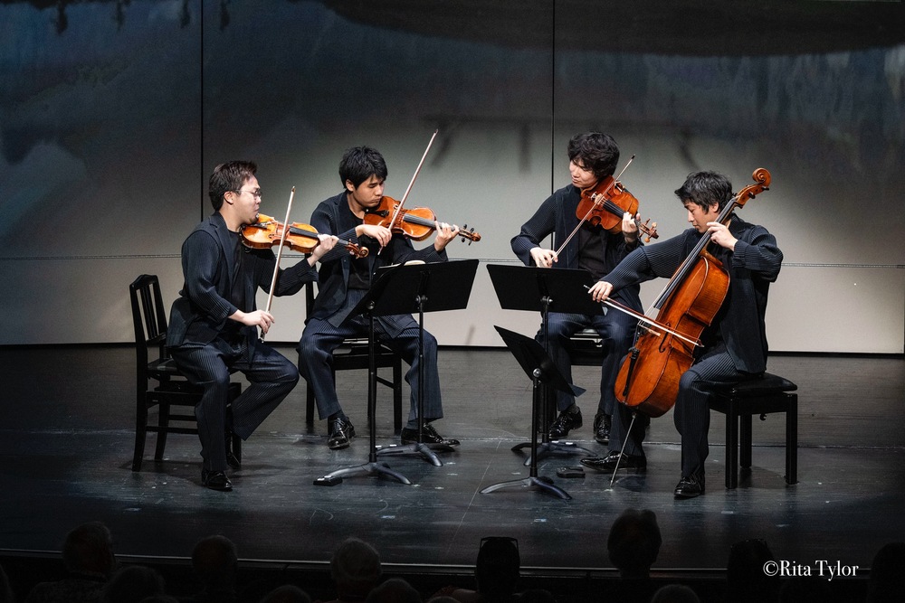 the bald 弦楽四重奏 版画 54/295 the bald 弦楽四重奏 版画 トップ 54