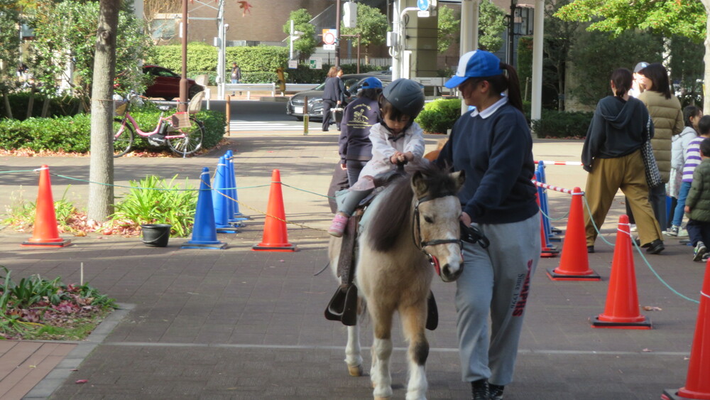 🐎ふれあいどうぶつえん🐏 <港南緑水公園>