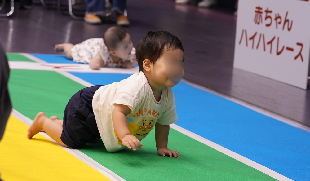 赤ちゃんハイハイレース（住まいと暮らしの体験型EXPO2026）【徳島新聞