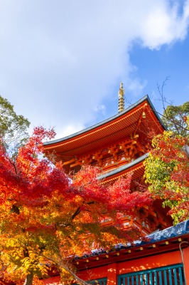 __('主催団体画像')