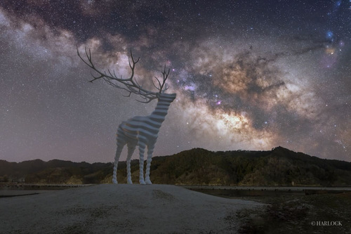 __('主催団体画像')