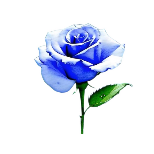 __('主催団体画像')