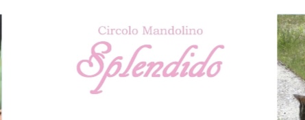 __('主催団体画像')