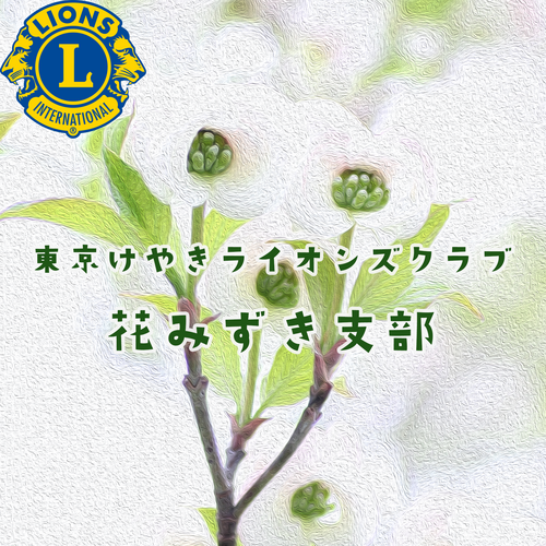 __('主催団体画像')