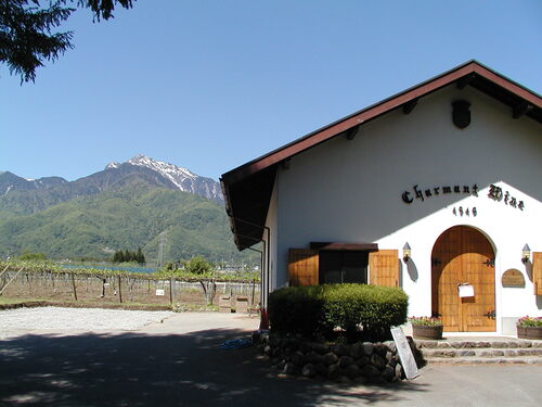 __('主催団体画像')